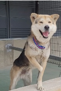 남부여동물병원_444457202300125